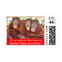 Baby's First Christmas jungle style postage