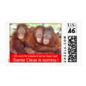 Baby's First Christmas jungle style stamp