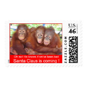 Baby's First Christmas jungle style stamp