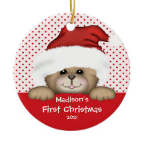 Baby's First Christmas Ornament Santa Bear
