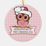 Baby's First Christmas Owl Ornament