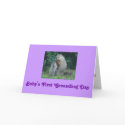 Baby's First Groundhog Day Greeting Card