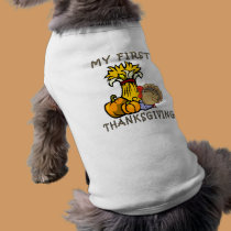 Baby's First Thanksgiving pet clothing