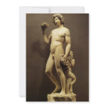 Bacchus by Michelangelo Custom Invites