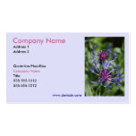 Bachelor Button Business Card