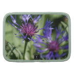 Bachelor Button Plant Zip Folio Folio Planner