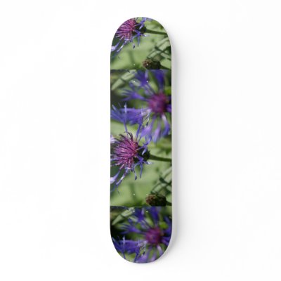 Bachelor Button Skateboard by PerennialGardens
