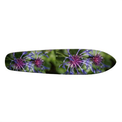 Bachelor Button Skateboard by PerennialGardens