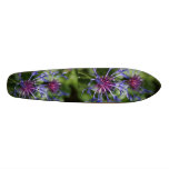 Bachelor Button Skateboard