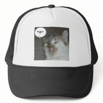 Bachelor Party hats