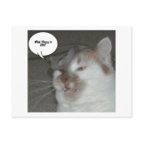 Bachelor Party Humor Postcards