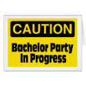 Bachelor Party In Progress cards by TeeZazzle Bachelor Party In Progress cards