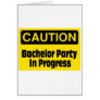 Bachelor Party In Progress Greeting Card