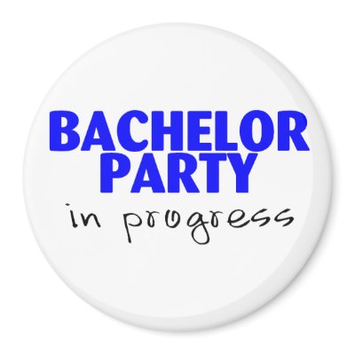 Bachelor Party In Progress Magnet