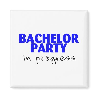 Bachelor Party In Progress Magnets