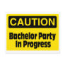 Bachelor Party In Progress Postcard