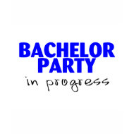 Bachelor Party In Progress shirt