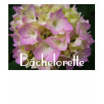 Bachelorette and Future Mrs  T-shirt