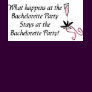 Bachelorette party t-shirt