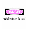 Bachelorettes On The Loose shirt