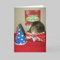 Baci's Birthday Party cards