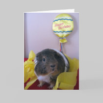 Baci's Birthday Wishes cards