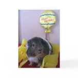 Baci's Birthday Wishes cards