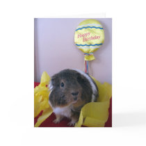 Baci's Birthday Wishes Cards