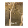 Back Bay Fens Wildlife Postcard