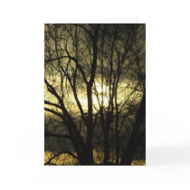 Back Lit- Bev's Card
