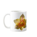 Back Lit Tulip ~ mug by Andy2302 Back Lit Tulip ~ mug