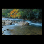 Back river I posters