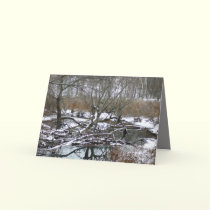 Back River in Winter cards by MoiraAshleigh Back River in Winter cards