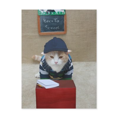 Back to School Bubba Post Cards by myrtieshuman
