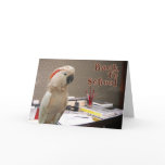 Back To School Cards
