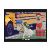 Back to School postcards
