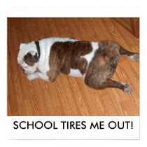Back To School Poster/Sullivan the Bulldog posters by samecla Back To School Poster/Sullivan the Bulldog posters