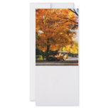 Back to School Custom Rack Cards