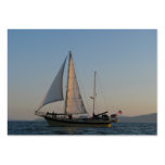 Back To Shore Business Cards