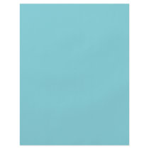 Background Color - Aqua Flyer Design