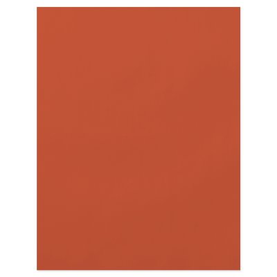 Background Color - Burnt Orange Full Color Flyer