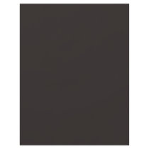 Background Color - Chocolate Brown flyers