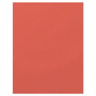Background Color - Coral Personalized Flyer by visualnewbie