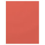 Background Color - Coral Personalized Flyer