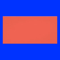 Background Color - Coral Personalized Photo Card