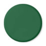 Background Color - Forest Green Fridge Magnet