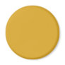 Background Color - Gold Refrigerator Magnets