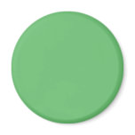 Background Color - Green 02 Refrigerator Magnets