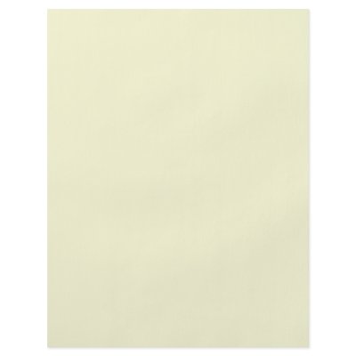 Background Color - Ivory Custom Flyer by visualnewbie