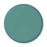 Background Color - Jade Magnet